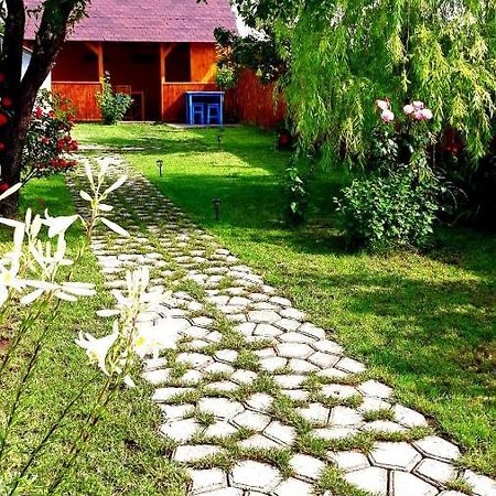 Casa Pavel Jurilovcaヴィラ エクステリア 写真