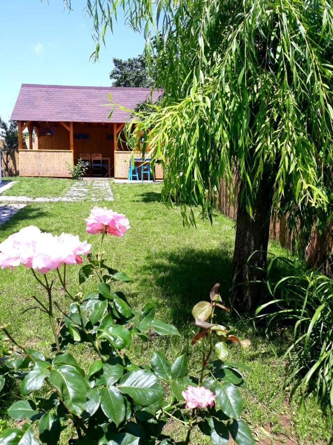 Casa Pavel Jurilovcaヴィラ エクステリア 写真