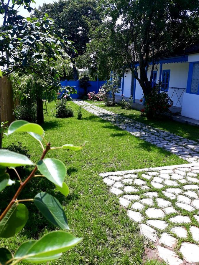 Casa Pavel Jurilovcaヴィラ エクステリア 写真