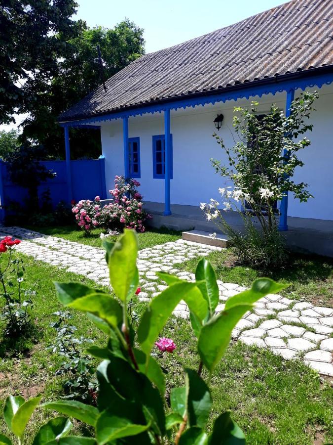 Casa Pavel Jurilovcaヴィラ エクステリア 写真
