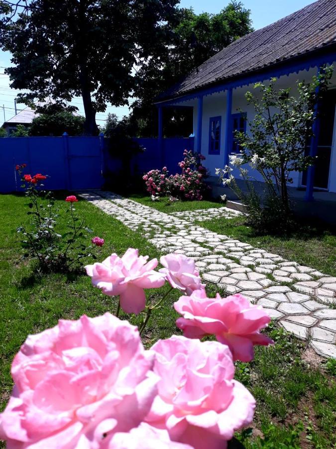 Casa Pavel Jurilovcaヴィラ エクステリア 写真