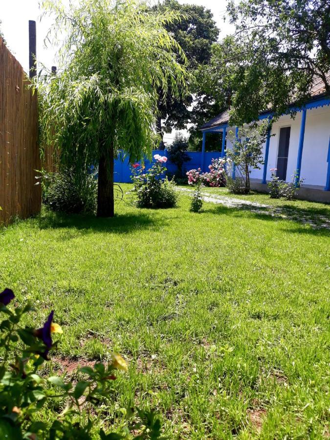 Casa Pavel Jurilovcaヴィラ エクステリア 写真