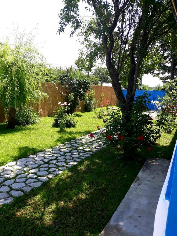 Casa Pavel Jurilovcaヴィラ エクステリア 写真