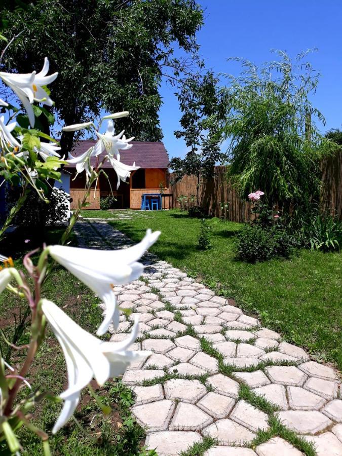 Casa Pavel Jurilovcaヴィラ エクステリア 写真