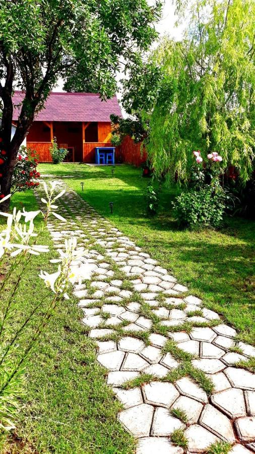Casa Pavel Jurilovcaヴィラ エクステリア 写真
